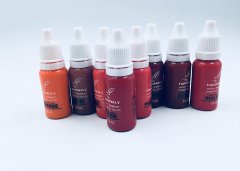 25 Colors Semi Permanent Makeup Pigments , Lip Eyeliner Eyebrow Tattoo Ink