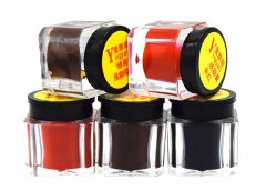 5G Practice Permanent Makeup Pigments , Tattoo Students Training Eyebrow Lip Pigment